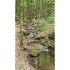 Reconcilience – Valentine Waeber – Thérapeute - Cartes panoramiques (21 x 10 cm) CHF 3.-