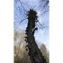 Reconcilience – Valentine Waeber – Thérapeute - Cartes panoramiques (21 x 10 cm) CHF 3.-