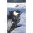 Reconcilience – Valentine Waeber – Thérapeute - Cartes panoramiques (21 x 10 cm) CHF 3.-