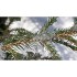 Reconcilience – Valentine Waeber – Thérapeute - Cartes panoramiques (21 x 10 cm) CHF 3.-