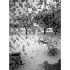Reconcilience – Valentine Waeber – Thérapeute - Cartes petites (15 x 10,5 cm) CHF 2.-