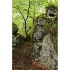 Reconcilience – Valentine Waeber – Thérapeute - Cartes petites (15 x 10,5 cm) CHF 2.-