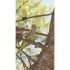Reconcilience – Valentine Waeber – Thérapeute - Cartes petites (15 x 10,5 cm) CHF 2.-