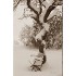 Reconcilience – Valentine Waeber – Thérapeute - Cartes petites (15 x 10,5 cm) CHF 2.-