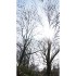 Reconcilience – Valentine Waeber – Thérapeute - Cartes panoramiques (21 x 10 cm) CHF 3.-